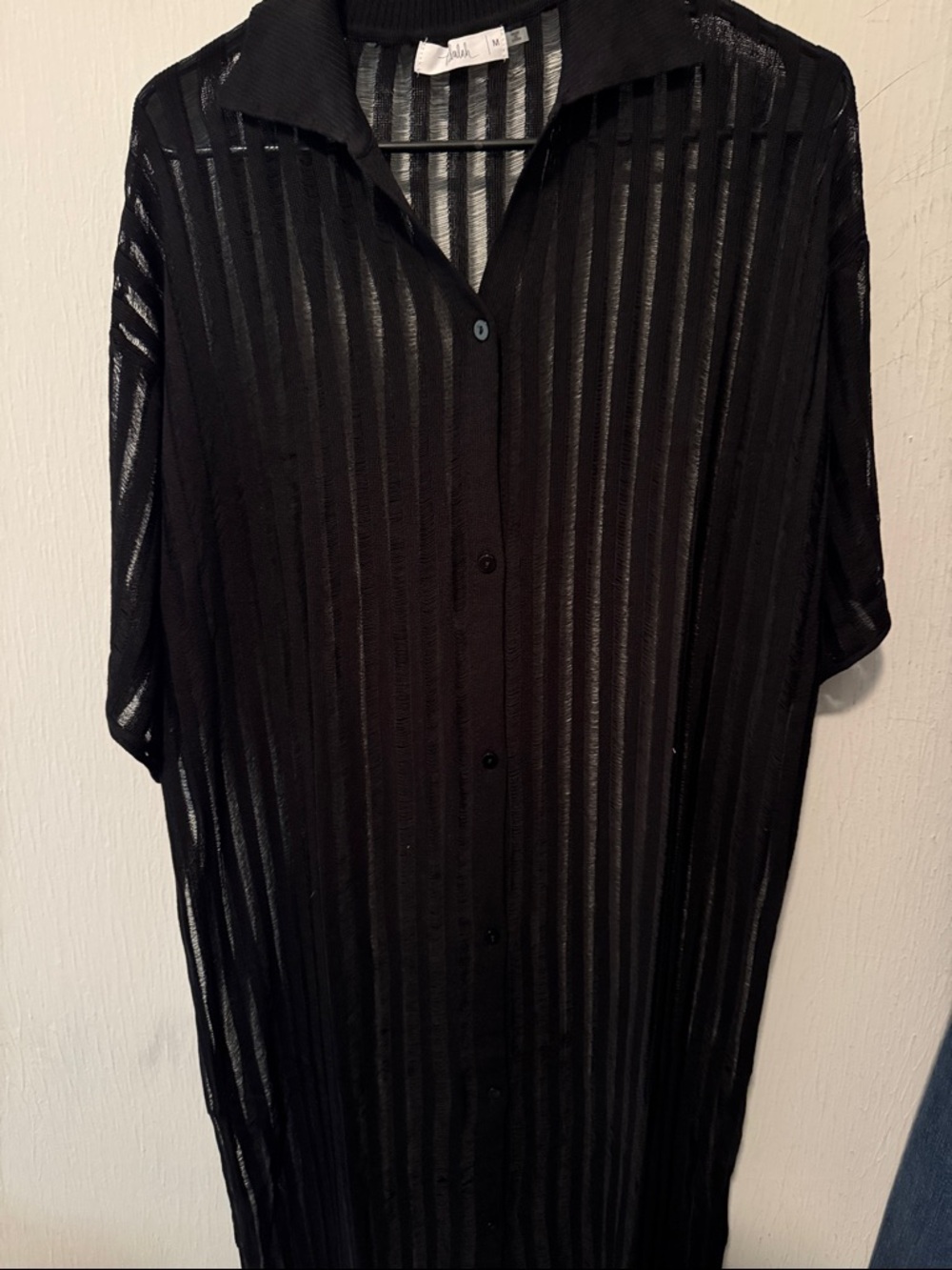 TALULAH Sheer Black Striped Button-Down Dress